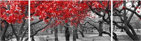 Obraz - Czerwone drzewa, Central Park, New York (170x50 cm)