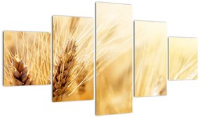 Obraz - szczegóły ziarna (125x70 cm)