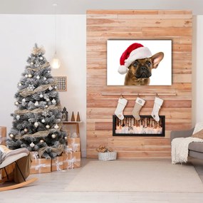 Obraz Canvas Bulldog Pies Święta