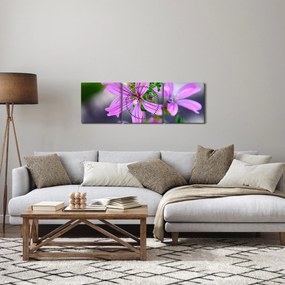 Zbliżenie kwiatu (z zegarem) (90x30 cm)