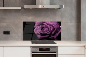 Panel nad Blat Kuchenny Szlachetna Fioletowa Róża