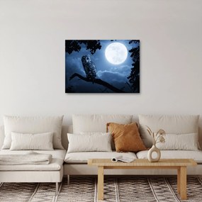 Obraz - Nocna Sowa (70x50 cm)