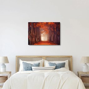 Obraz - Jesienny las (70x50 cm)