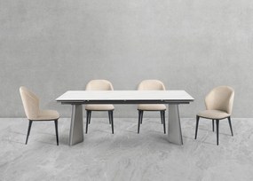 Nowoczesny stół rozkładany Nexus o wymiarach 200(280)×90 cm zachwyca eleganckim blatem z masy ceramicznej i solidną podstawą ze stali szczotkowanej. Styl, trwałość i funkcjonalność w jednym – idealny do jadalni i salonu.