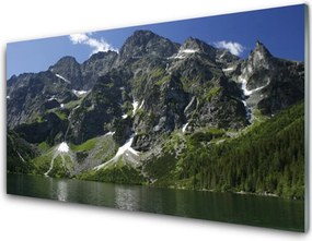 Panel nad blat kuchenny Panorama Alpejskiej Natury