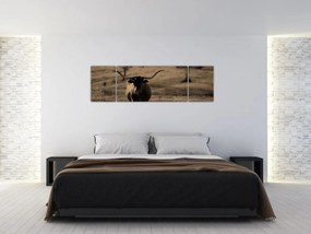 Obraz - Krowa z Teksasu (170x50 cm)