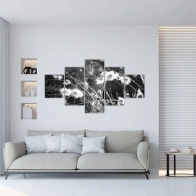 Obraz - Pajęczyna na łące (125x70 cm)