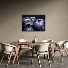 Obraz na szkle - owoce z kroplami wody (70x50 cm)