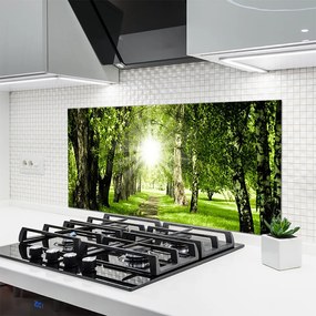 Panel nad blat kuchenny Rozświetlona Ścieżka Leśna