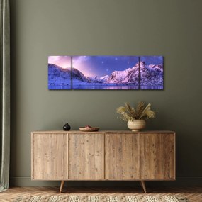 Obraz - Arktyczny krajobraz (170x50 cm)