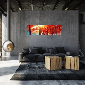 Obraz- Jesienny krajobraz (170x50 cm)