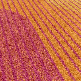 Żółty/pomarańczowy dywan 120x170 cm Muse Orange Retro – Asiatic Carpets