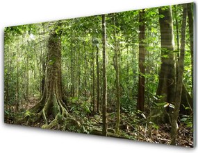 Szkło do Kuchni na Ścianę Gęstwina Tropikalnej Dżungli
