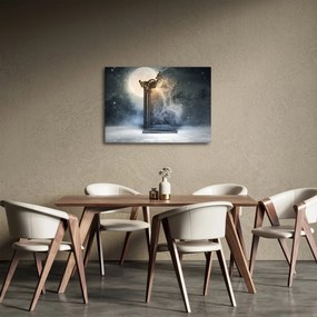 Obraz - Magiczne lustro (70x50 cm)