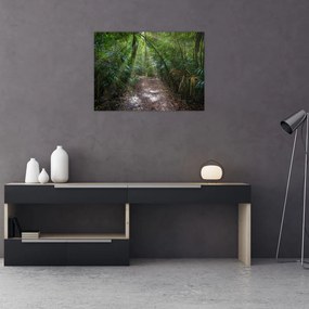 Obraz - Promienie słońca w dżungli (70x50 cm)