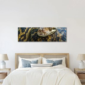 Obraz - Pyton (170x50 cm)