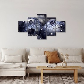 Obraz owoców z kroplami wody (125x70 cm)