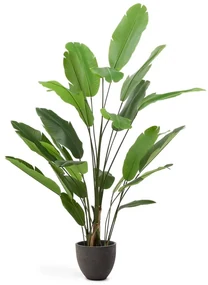 Sztuczny bananowiec (wysokość 210 cm) – Kave Home