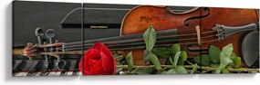 Obraz - Pamięć muzyka (170x50 cm)