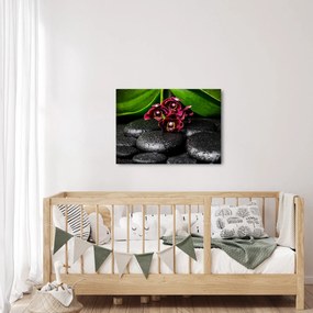 Obraz - Kamienie lawy (70x50 cm)