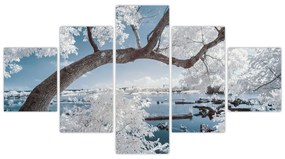 Obraz ośnieżonego drzewa nad wodą (125x70 cm)