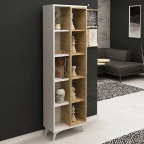 Biblioteczka Enzamu