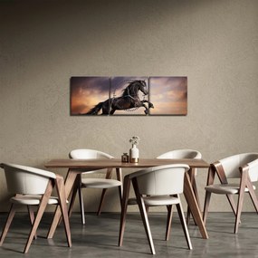 Obraz - Konie (z zegarem) (90x30 cm)