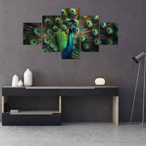 Obraz – Paw (125x70 cm)