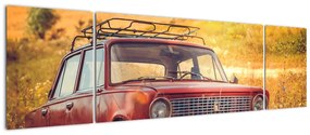 Obraz samochodu na polu (170x50 cm)