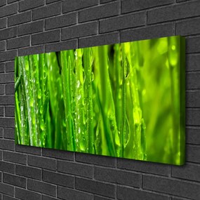 Obraz canvas Naturalna Tekstura Zielonej Trawy