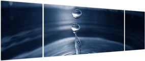 Obraz - Krople (170x50 cm)