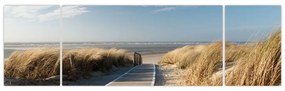 Obraz - Piaszczysta plaża na wyspie Langeoog, Niemcy (170x50 cm)