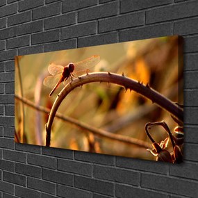 Obraz na płótnie Ważka na Roślinie