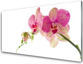 Panel nad blat kuchenny Bukiet Polnych Kwiatów