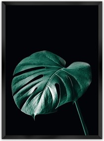 Plakat Dark Monstera