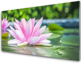 Panel Szklany Kwiat Lotosu na Lustrze Wody