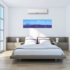 Obraz - Pole lawendy (170x50 cm)