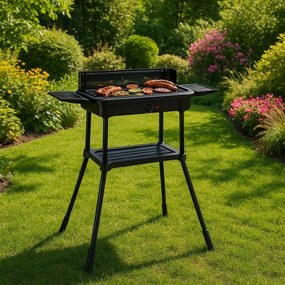 Grill elektryczny 3w1 - grill stojący, stołowy i płyta grillowa BQ231-SWGF