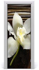 Okleina Naklejka fototapeta na drzwi Orchidea