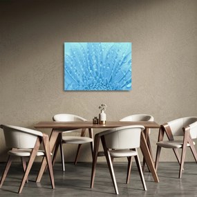 Obraz na szkle - Ujęcie makro kwiatu (70x50 cm)