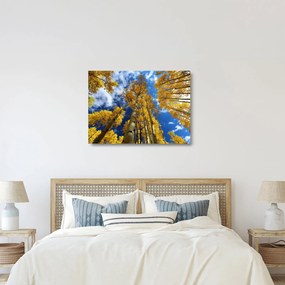 Obraz na szkle - Aspen (70x50 cm)