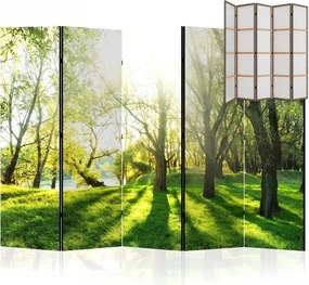 Parawan pokojowy 5-częściowy 225x172 Jednostronny dekoracyjny naturalistyczny Wiosenny Poranek W Lesie
