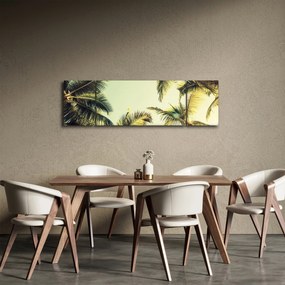 Obraz z palmami kokosowymi (170x50 cm)