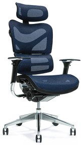 Fotel ergonomiczny biurowy wygodny Ergo 700, kolory do wyboru: czarny, granatowy, czerwony, zielony, szary. Regulowane oparcie, zagłówek i siedzisko. Najlepszy jeśli chodzi o nowoczesne fotele biurowe.