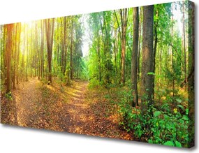 Obraz na płótnie Głusza Starego Lasu
