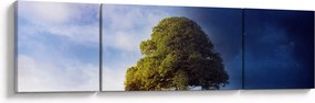 Obraz - Dzień i noc (170x50 cm)