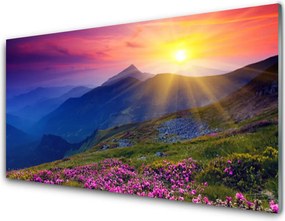 Panel Kuchenny Alpejska Łąka w Kwiatach