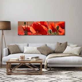 Obraz maków (170x50 cm)