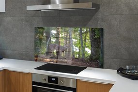 Panel nad Blat Kuchenny Spotkanie z Jeleniem w Puszczy