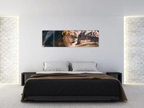 Obraz leżącego lwa (170x50 cm)